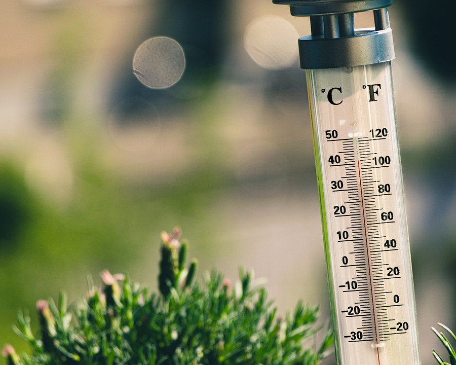 Extension Service: Use a thermometer