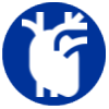Anatomic heart icon