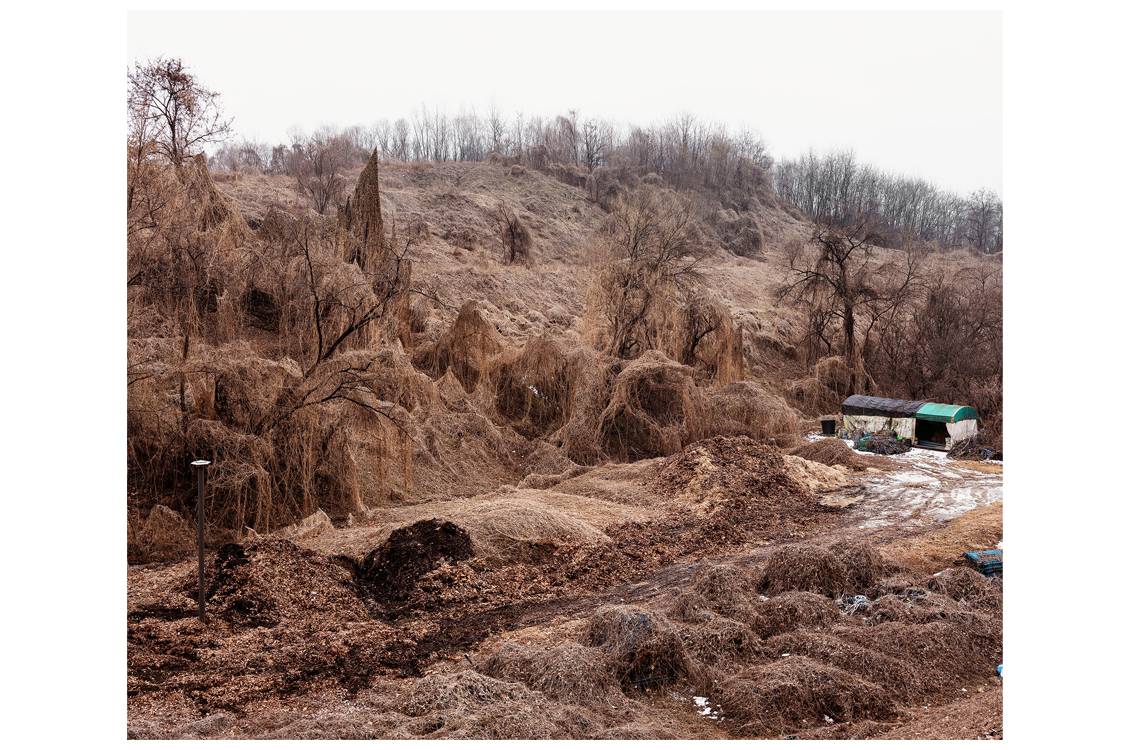 photo of a dry, burned landscape with a small house