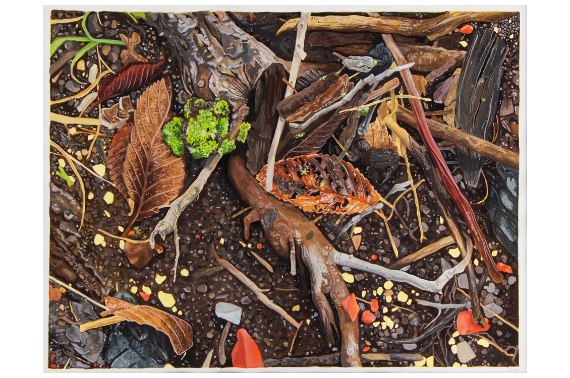 realistic drawing of a forest floor scene with mushrooms, sticks, and leaves