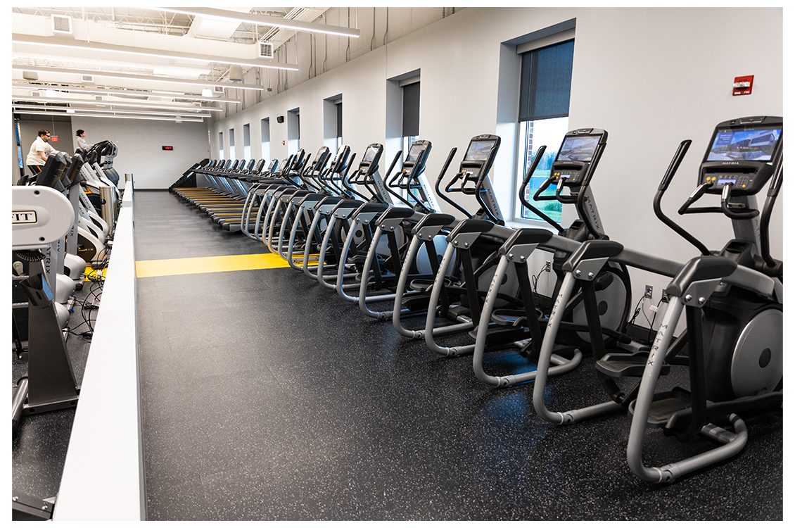 a row of cardio machines