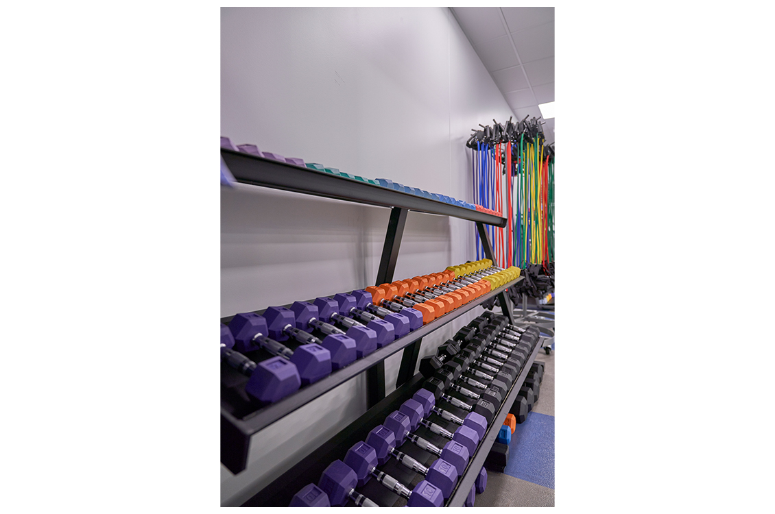 a rack of dumbells