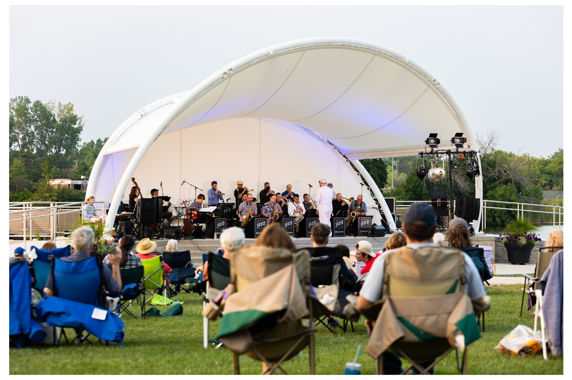 people attending an outdoor concert