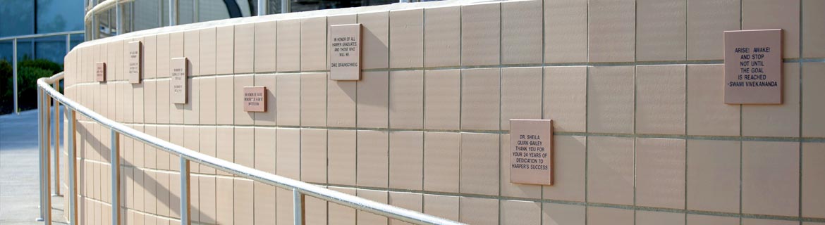 Pavers Wall Pavers Wall