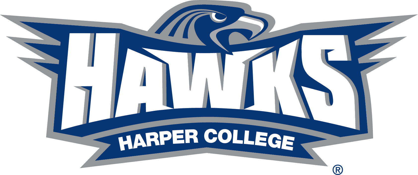 Hawks Logo