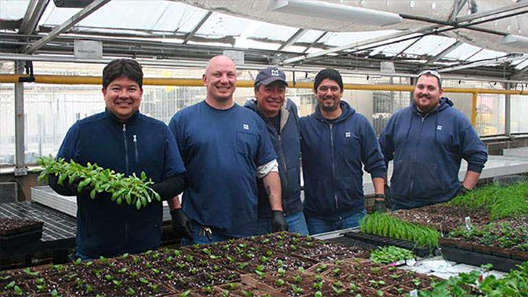 Several Members of the facilities crew in the greenhouse