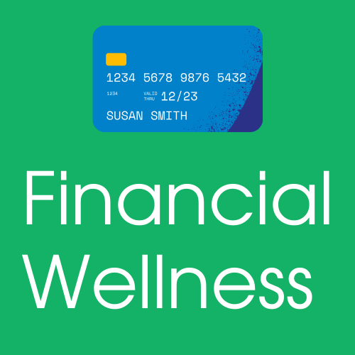 financial wellness icon