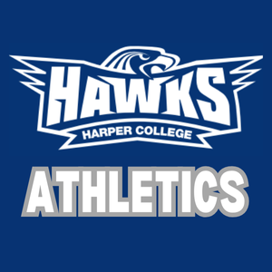 Image of Harper Hawks logo of spread winged hawk