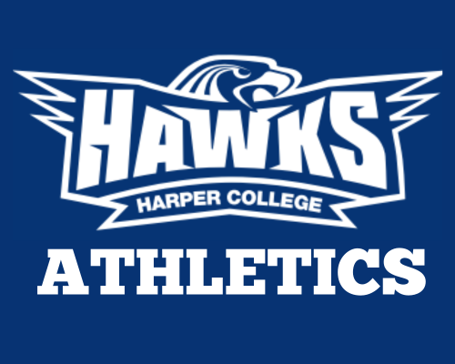 Graphic of Harper Hawks athletic logo of spread wing hawk