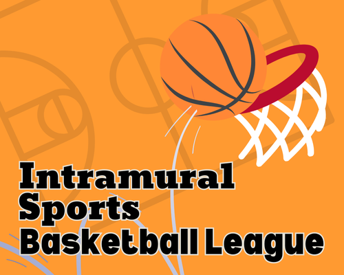 graphic of basketball bouncing into basketball hoop with line drawing of basketball court in background