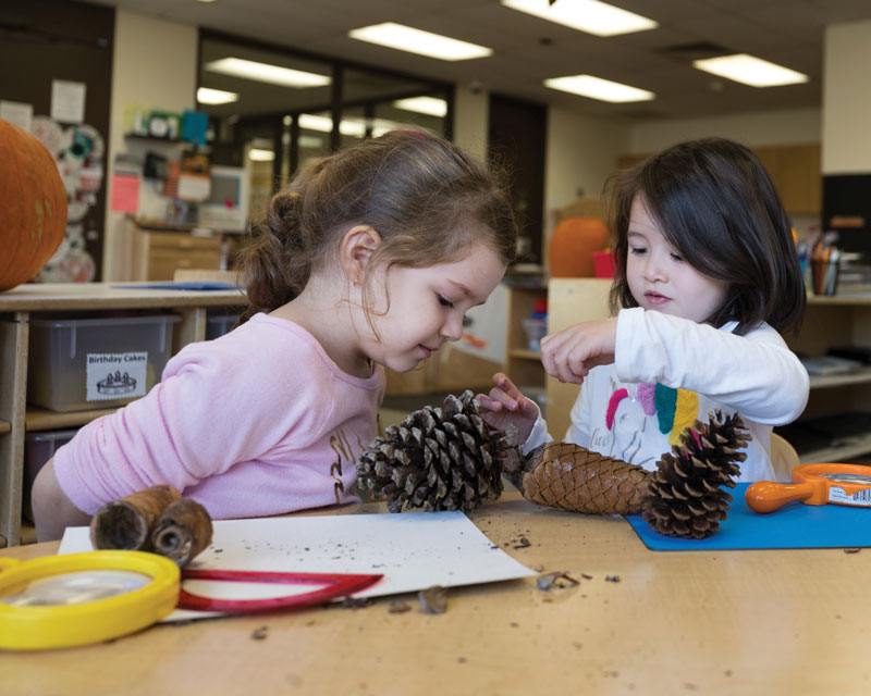 two children interact with a pinecone
